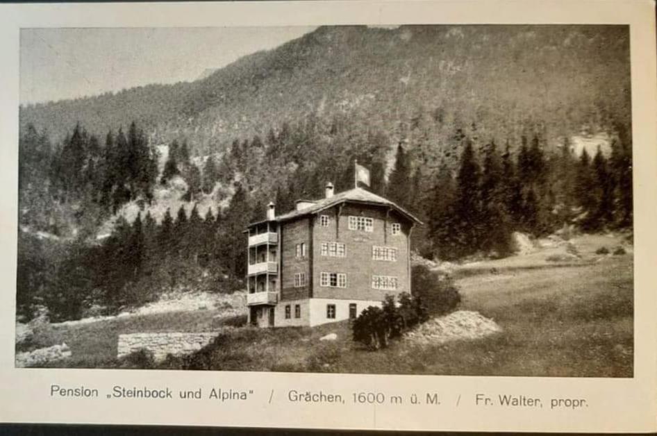 Hotel Alpina Grachen Bagian luar foto